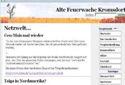 Screenshot www.kwvreiraum.de